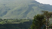 Slideshow: Greening Ethiopia’s Great Rift Valley